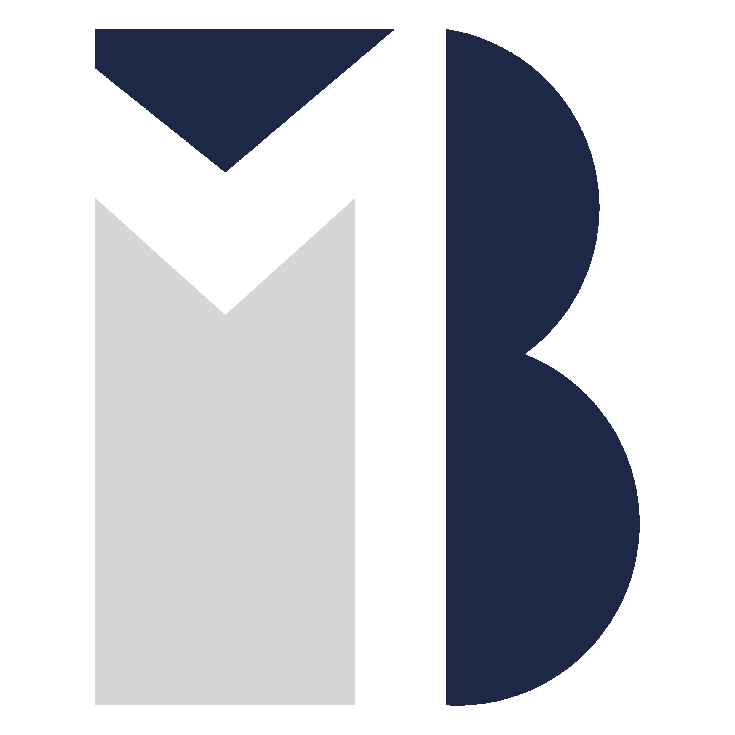 Bimatrix logo